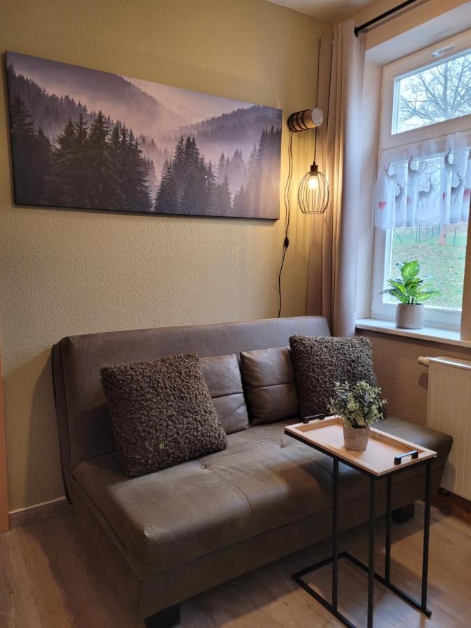 Apartments Und Bistro Zum Glasmacher Gehlberg Екстер'єр фото