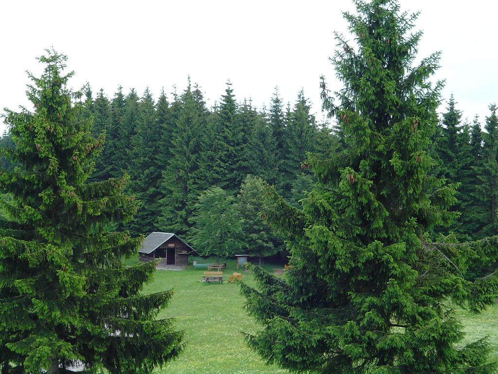 Apartments Und Bistro Zum Glasmacher Gehlberg Номер фото