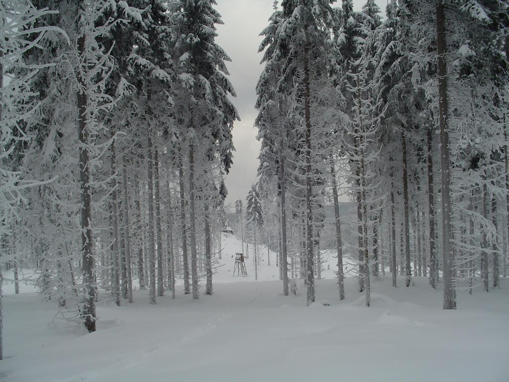 Apartments Und Bistro Zum Glasmacher Gehlberg Екстер'єр фото
