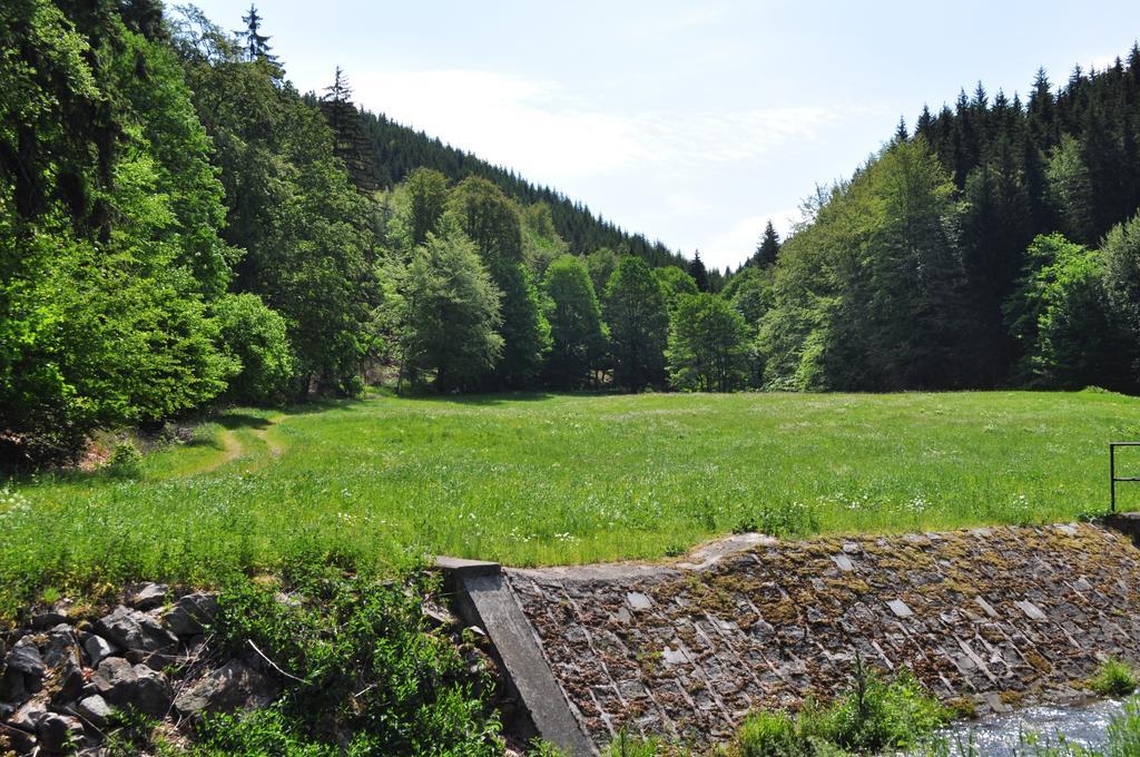 Apartments Und Bistro Zum Glasmacher Gehlberg Екстер'єр фото