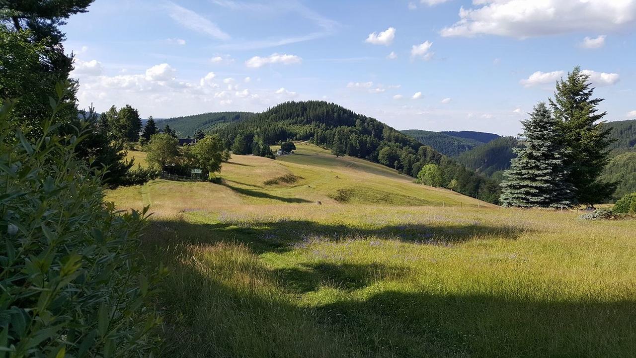 Apartments Und Bistro Zum Glasmacher Gehlberg Екстер'єр фото