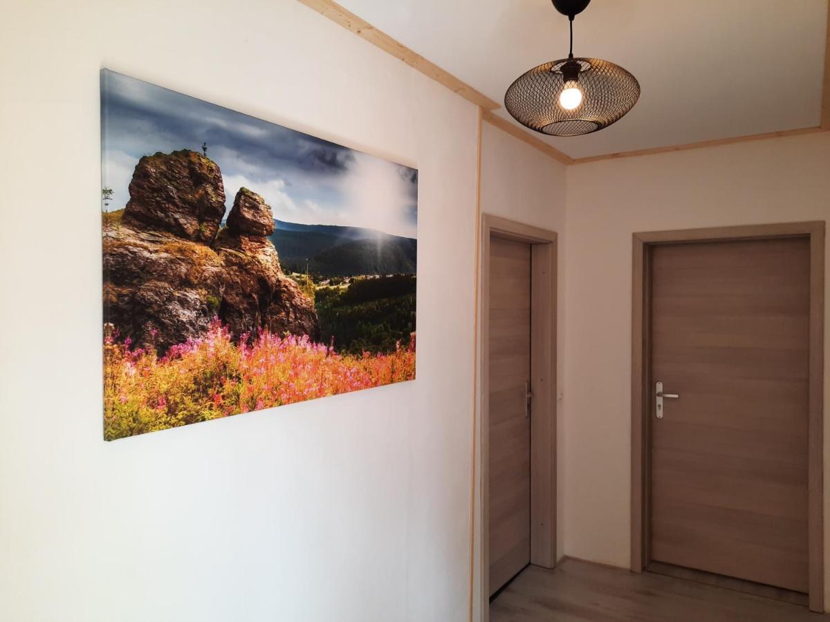 Apartments Und Bistro Zum Glasmacher Gehlberg Екстер'єр фото